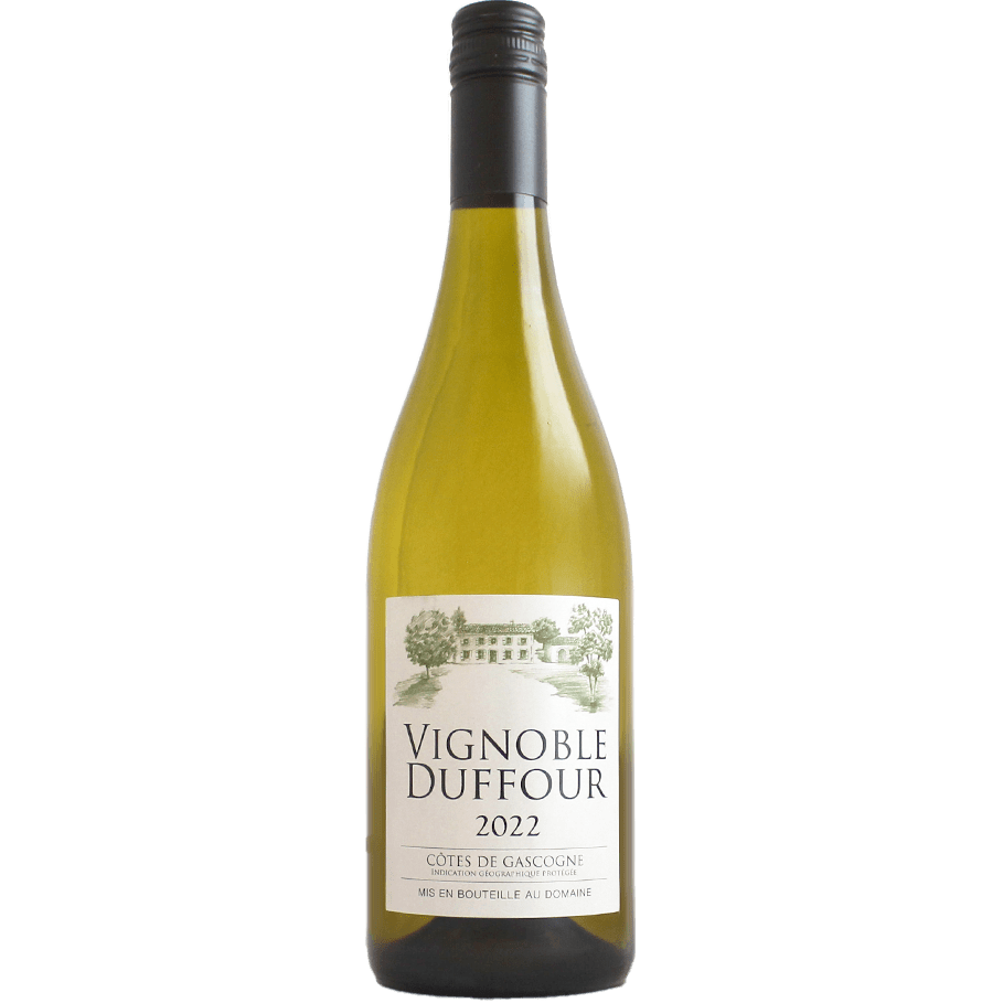 Vignoble Duffour Gascogne Blanc – Sadler Wine Markets
