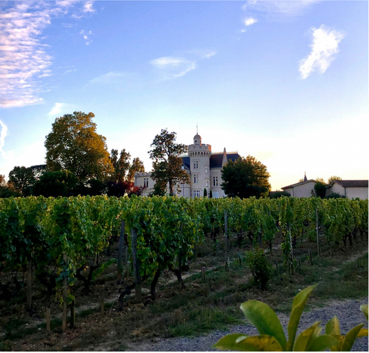 Bordeaux - The Heart of French Wine
