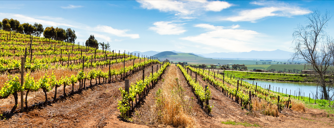 North Coast California Wines